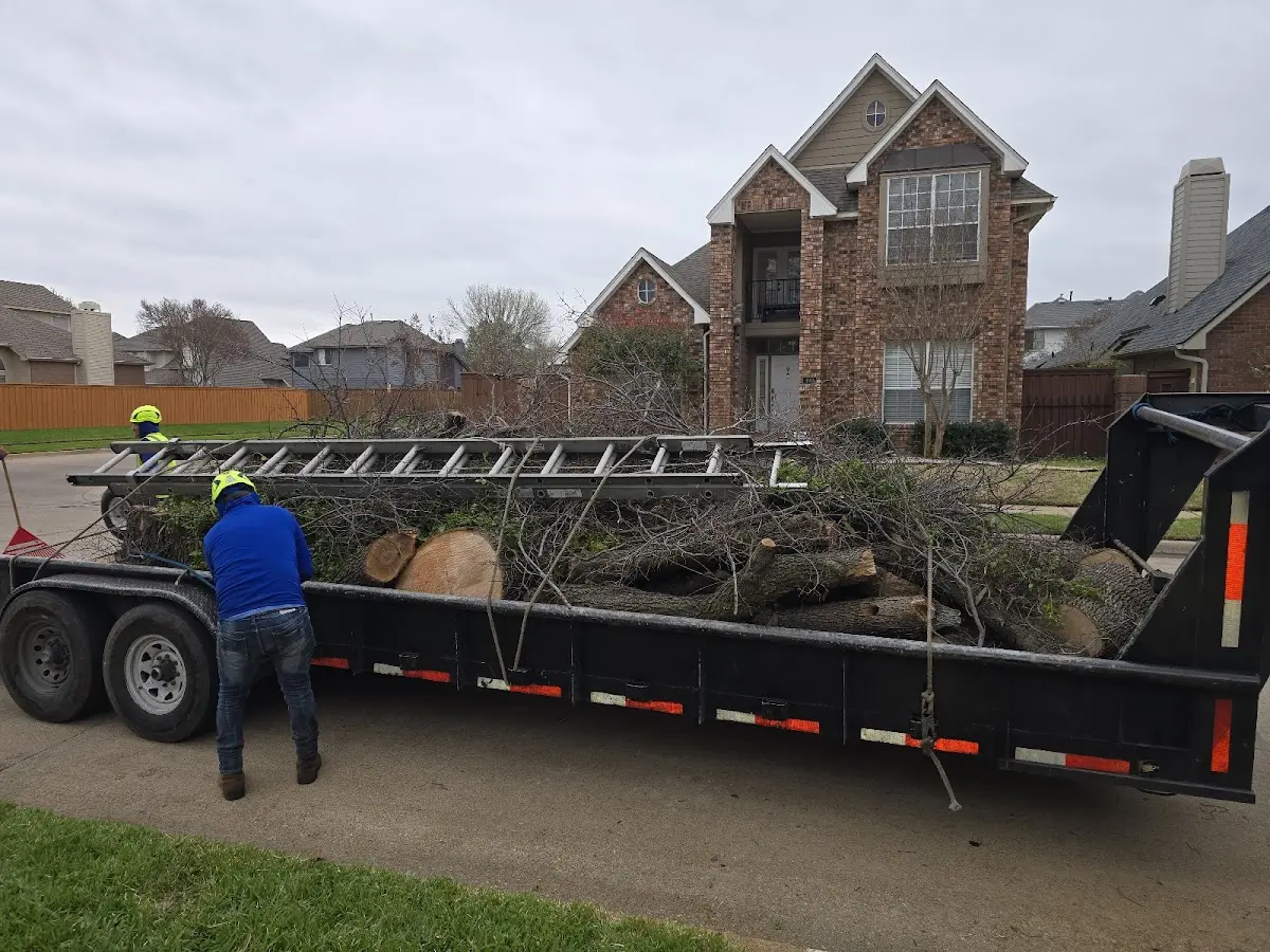 Expert Tree Pest Control with proper safety equipment in Rhododendron